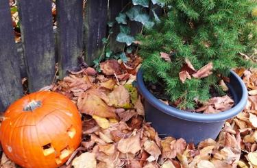 Halloweenské tvoření v Pivním Klubu