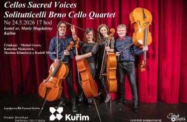 https://www.solitutticelli.cz/
